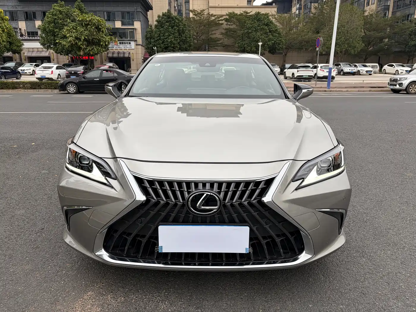 Lexus ES 2023 200 Excellence Edition фото 2