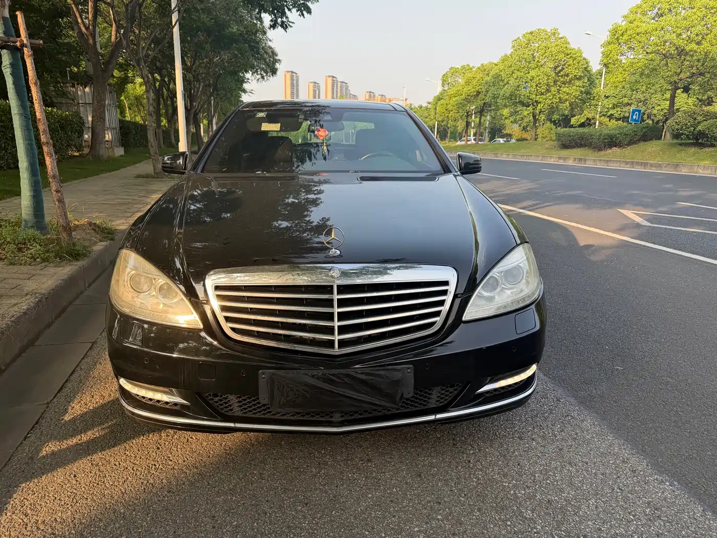 Mercedes-Benz S-Class 2012 S 300 L Luxury Grand Edition фото 2