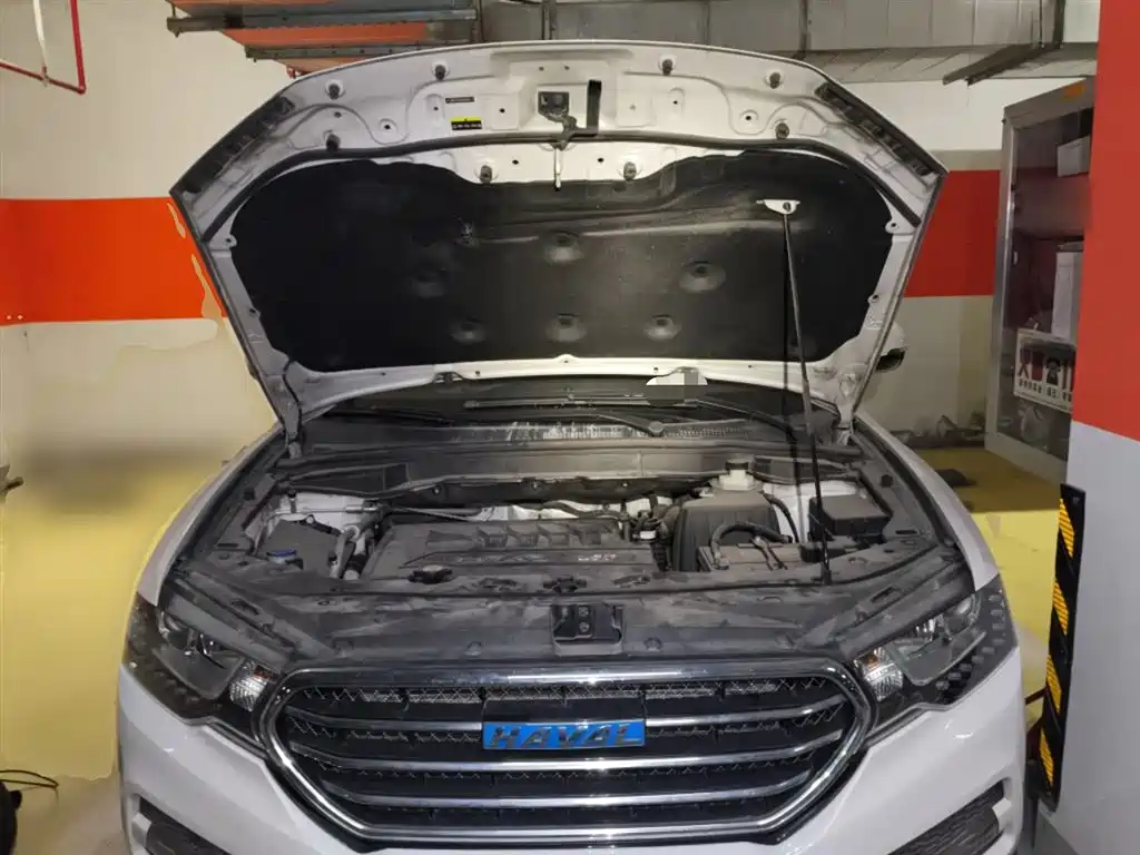 Haval H6 Coupe 2016 Blue Label 1.5T Automatic 2WD Urban фото 11