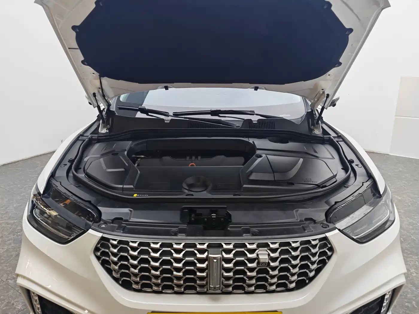 WEY VV5 2021 2020 1.5T 2WD Style Pioneer