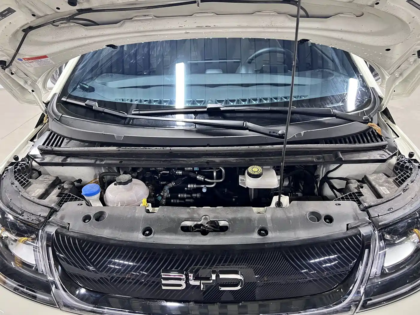 BYD Dolphin 2026 2025 420km Freedom Edition