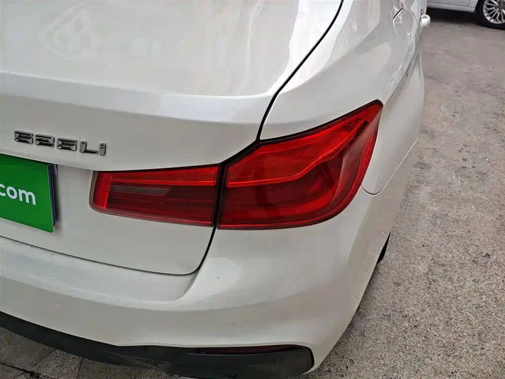 BMW 5 Series 2019 525Li M Sport Package фото 24