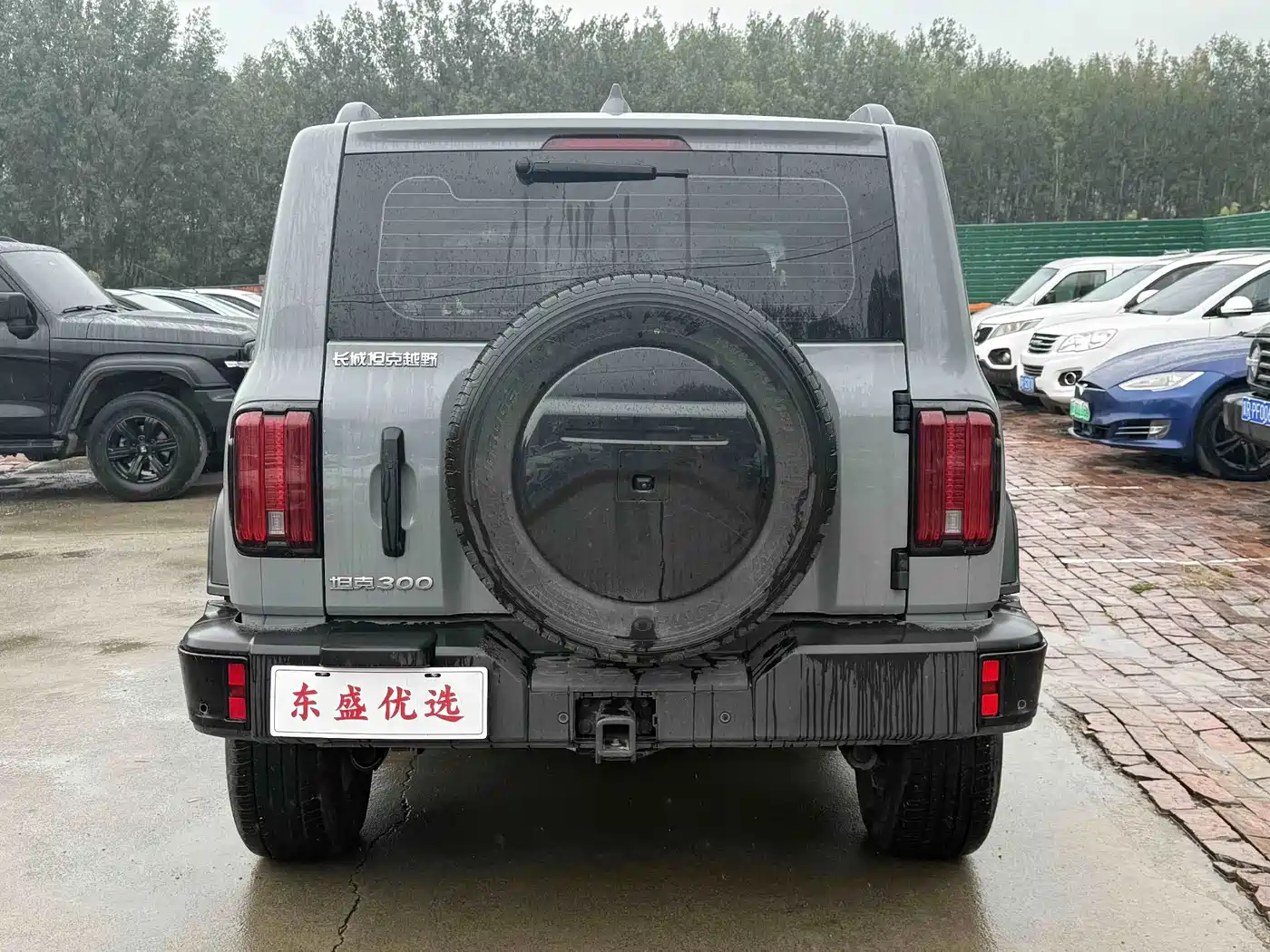 Tank 300 2025 2024 Model 2.0T Challenger
