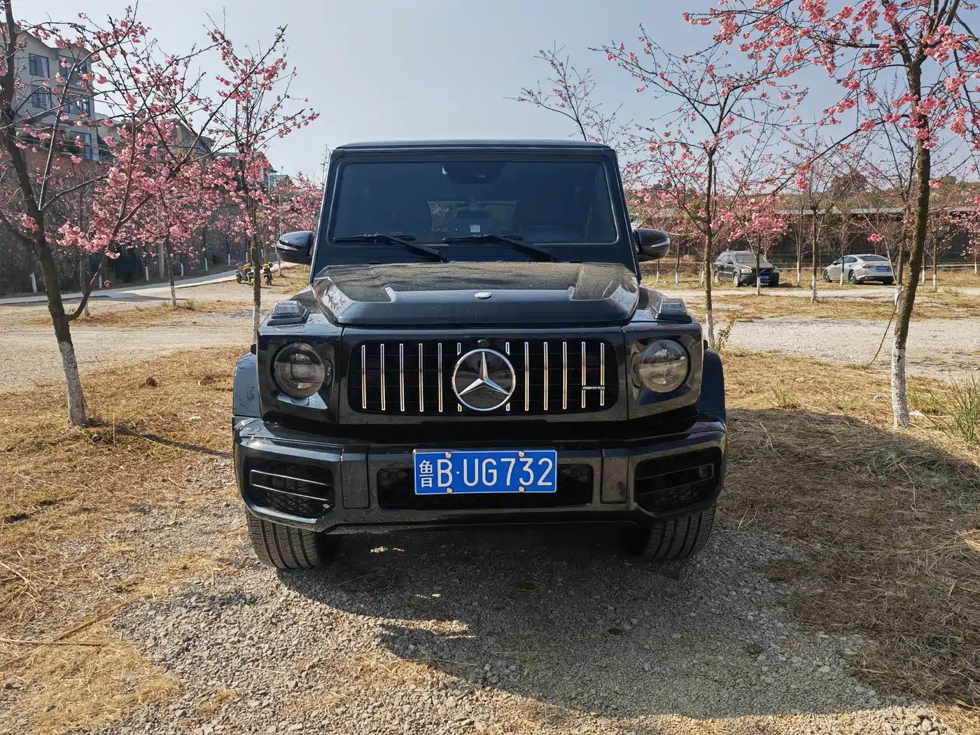 Mercedes-Benz G-Class 2010 G 500 фото 3