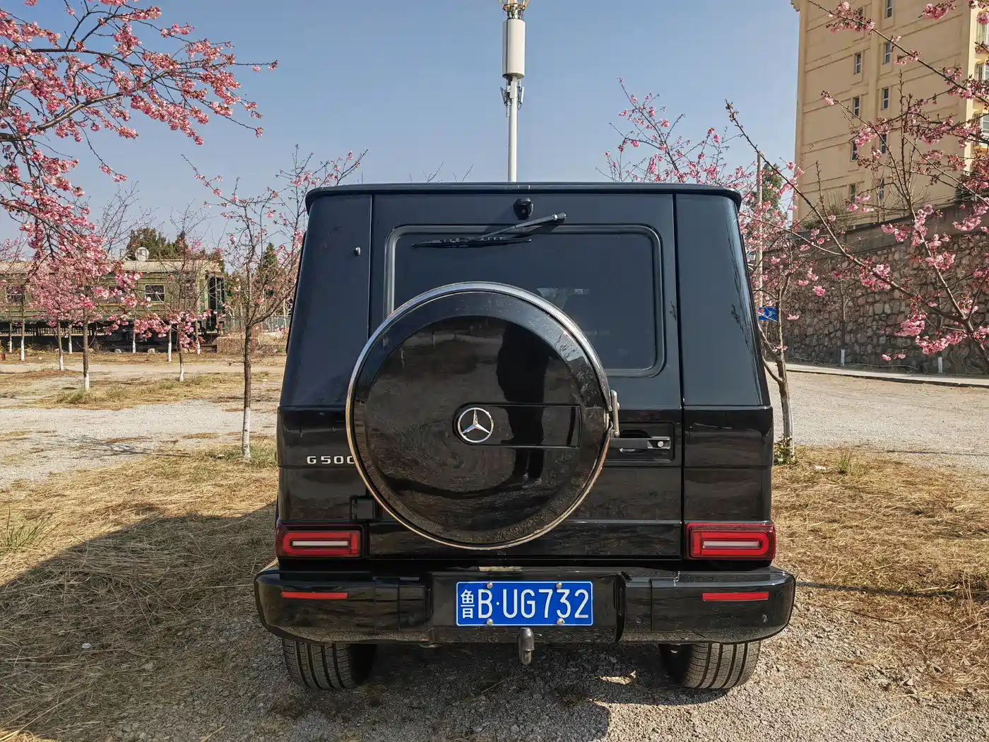 Mercedes-Benz G-Class 2010 G 500 фото 5