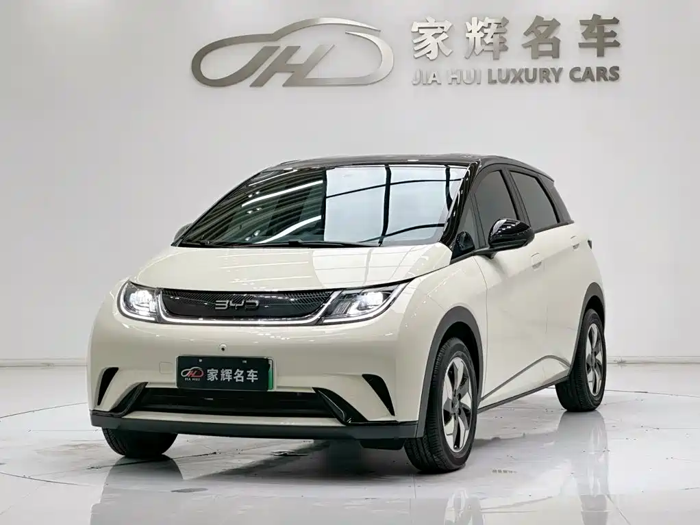 2026 BYD Dolphin