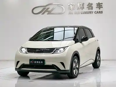 BYD Dolphin