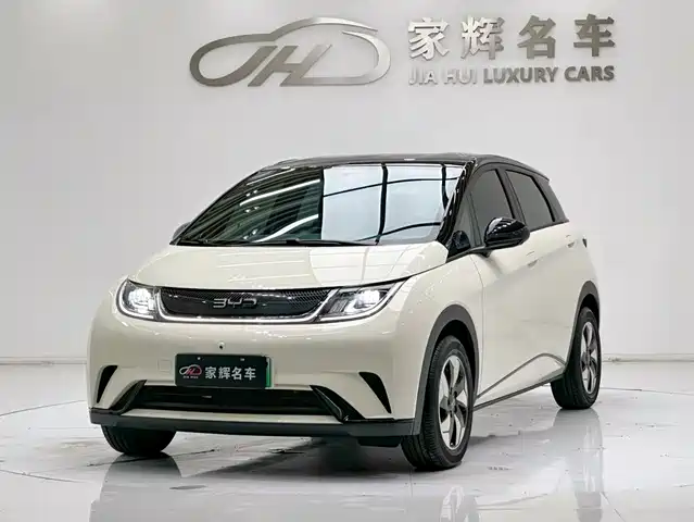 BYD Dolphin 420km, Свобода