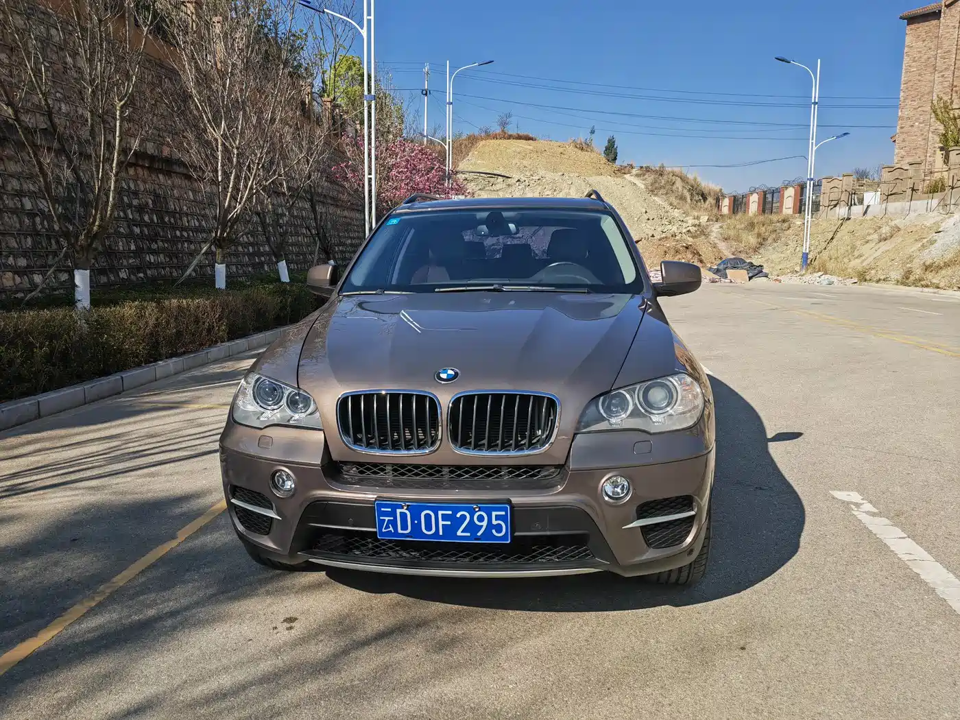 BMW X5 (Import) 2011 xDrive35i Leading Edition фото 3