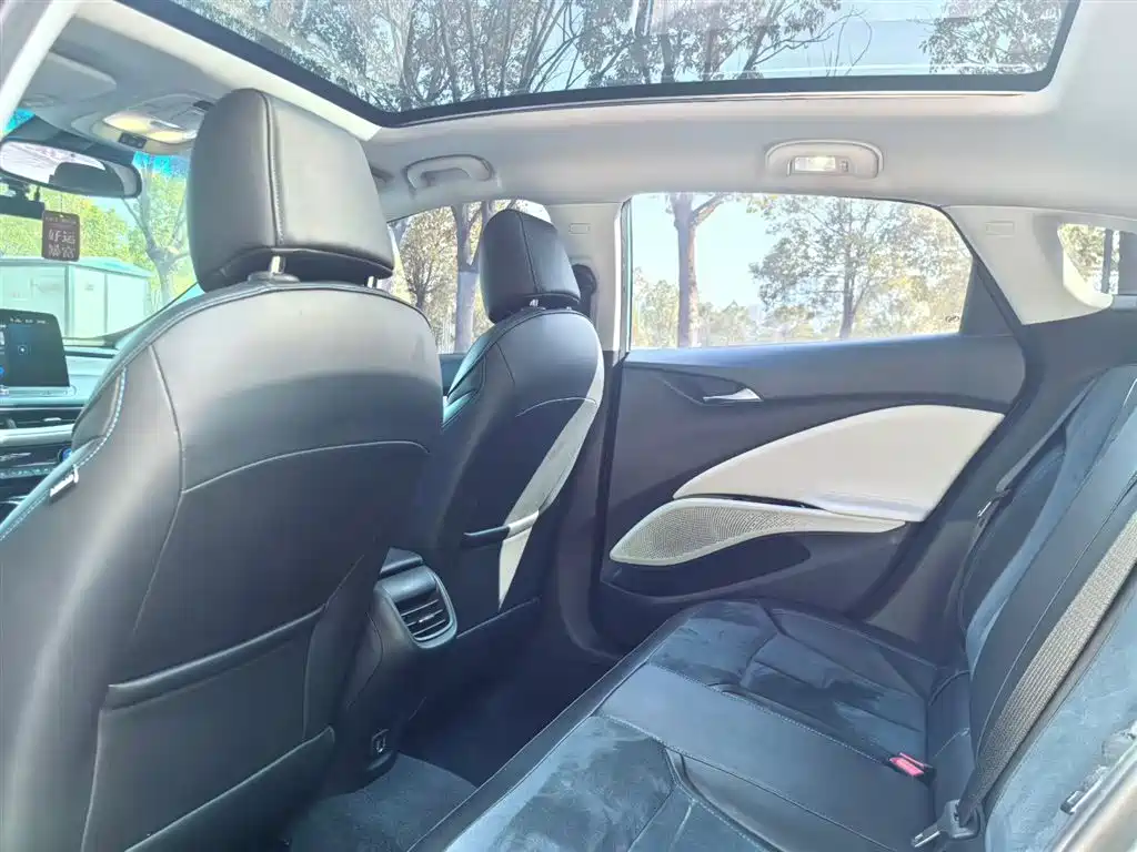 Buick Velite 6 2020 Plug-in Hybrid Connected Smart Edition фото 24
