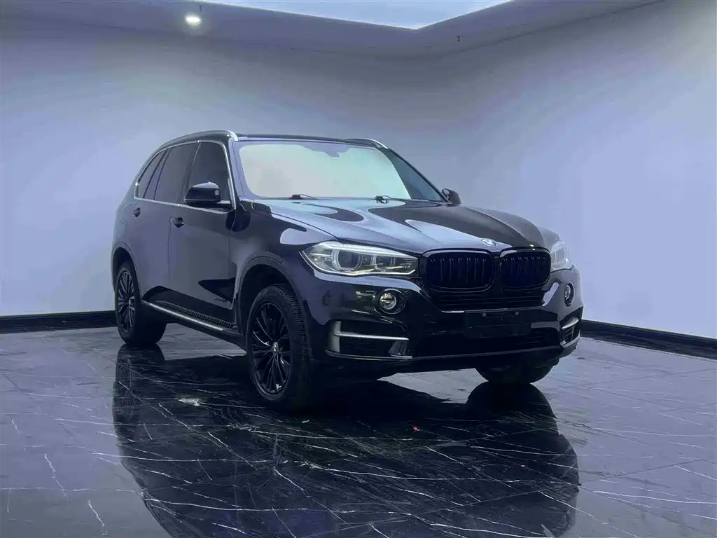 BMW X5 (Import) 2014 xDrive35i Leading фото 3