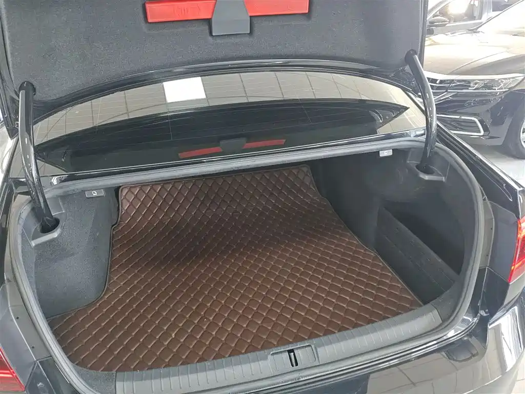 Volkswagen Magotan 2020 330TSI DSG Luxury фото 19