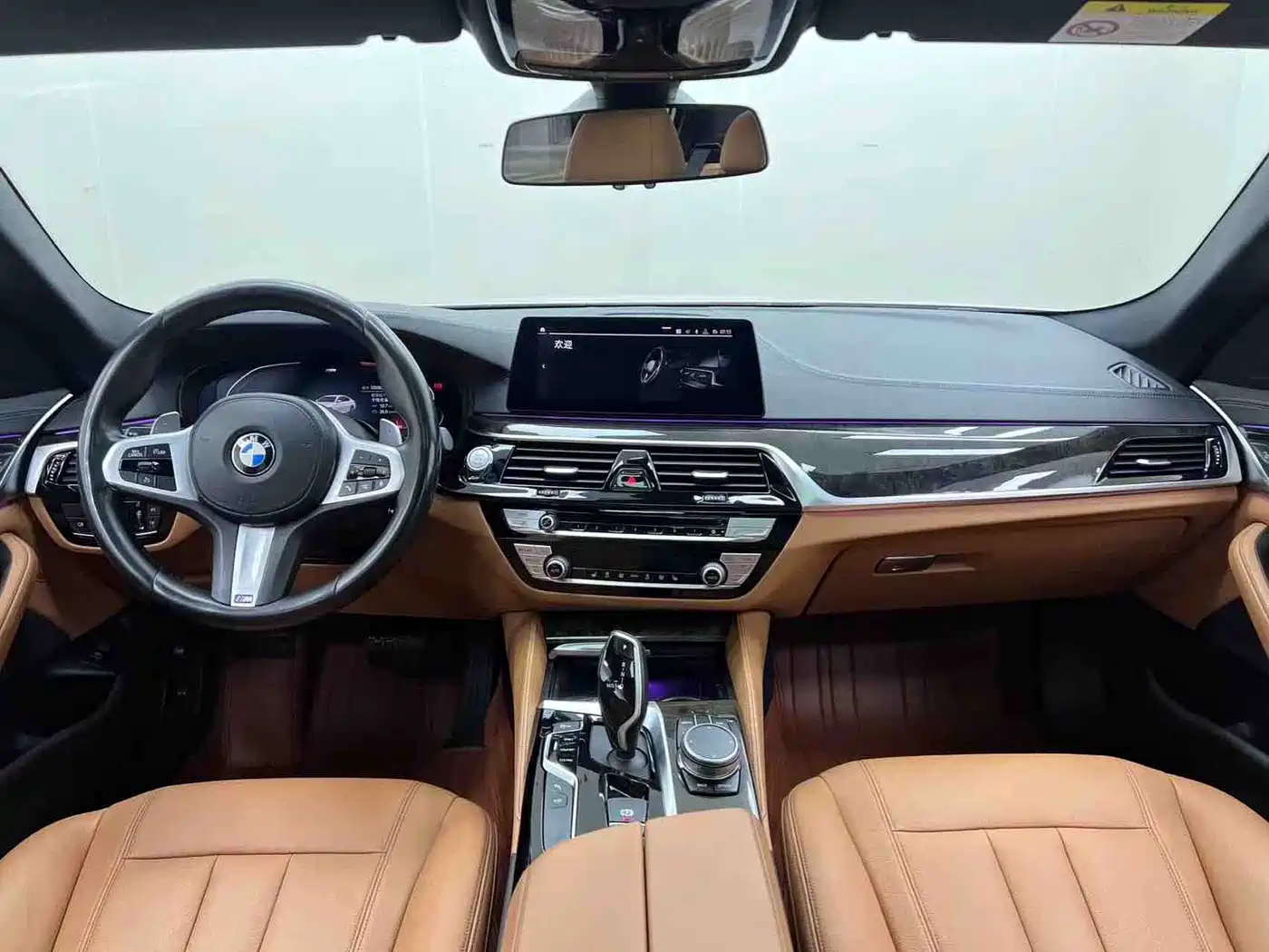 BMW 5 Series 2020 530Li Leading M Sport Package фото 17