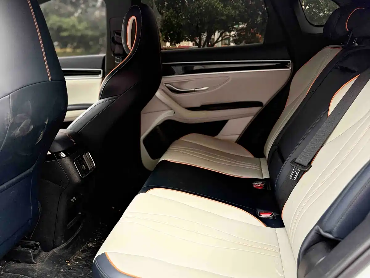 BYD Song PLUS PHEV 2021 DM-i 110KM Flagship фото 14