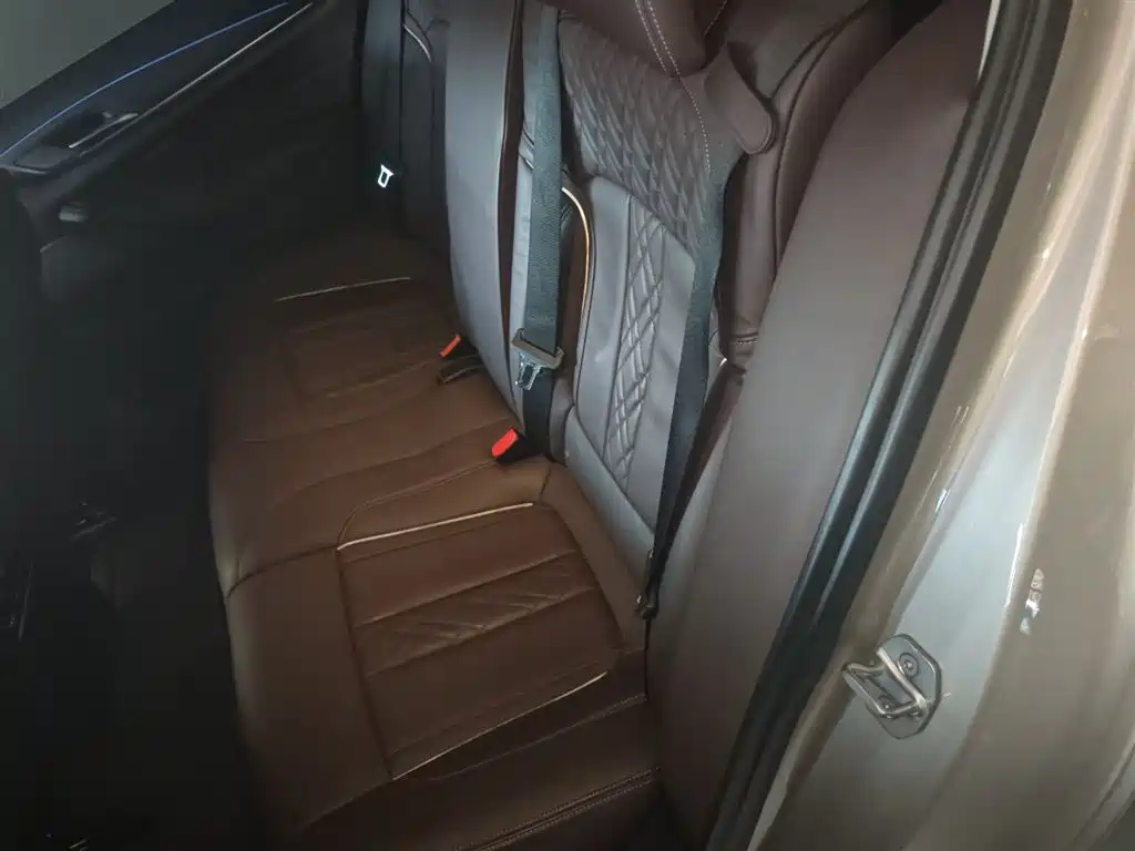 BMW 5 Series 2018 Facelift 530Li Leading Luxury Package фото 14