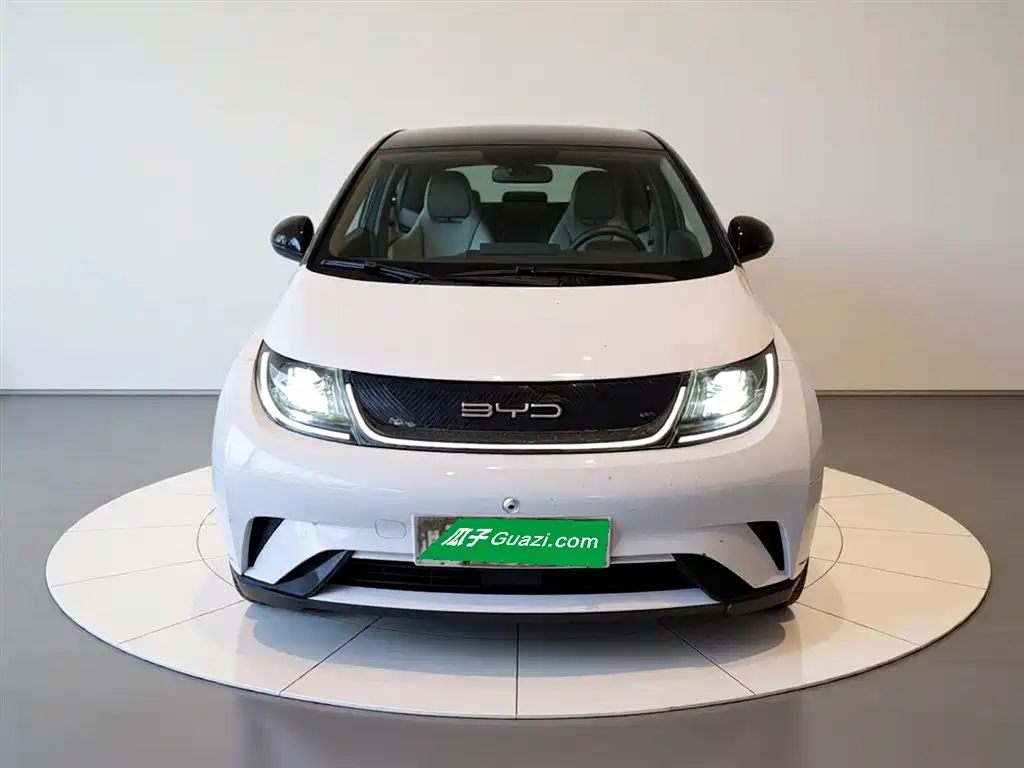 BYD Dolphin 2021 Model 405km Fashion Edition фото 7