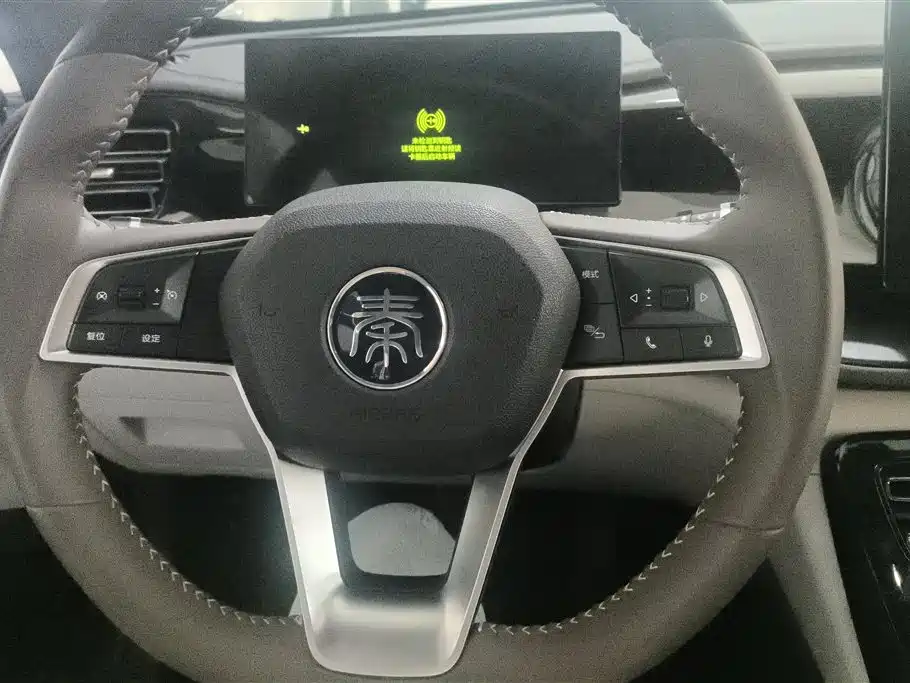BYD Qin PLUS 2024 Glory Edition DM-i 55KM Leading фото 15