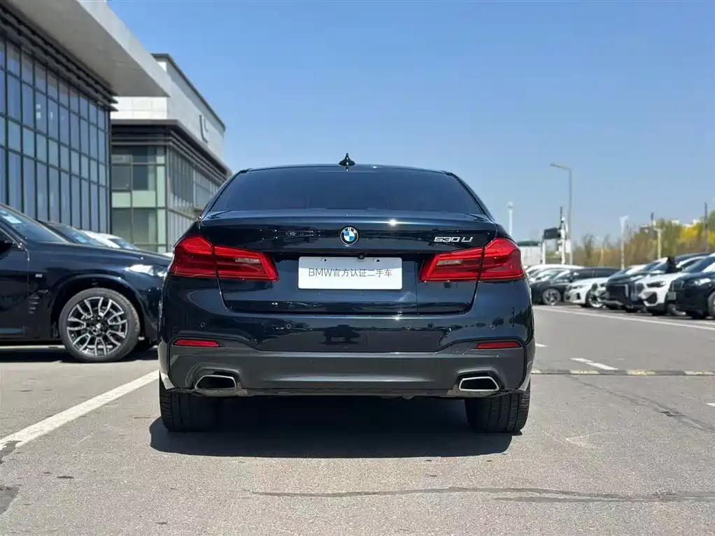 BMW 5 Series 2019 530Li Leading M Sport Package фото 5