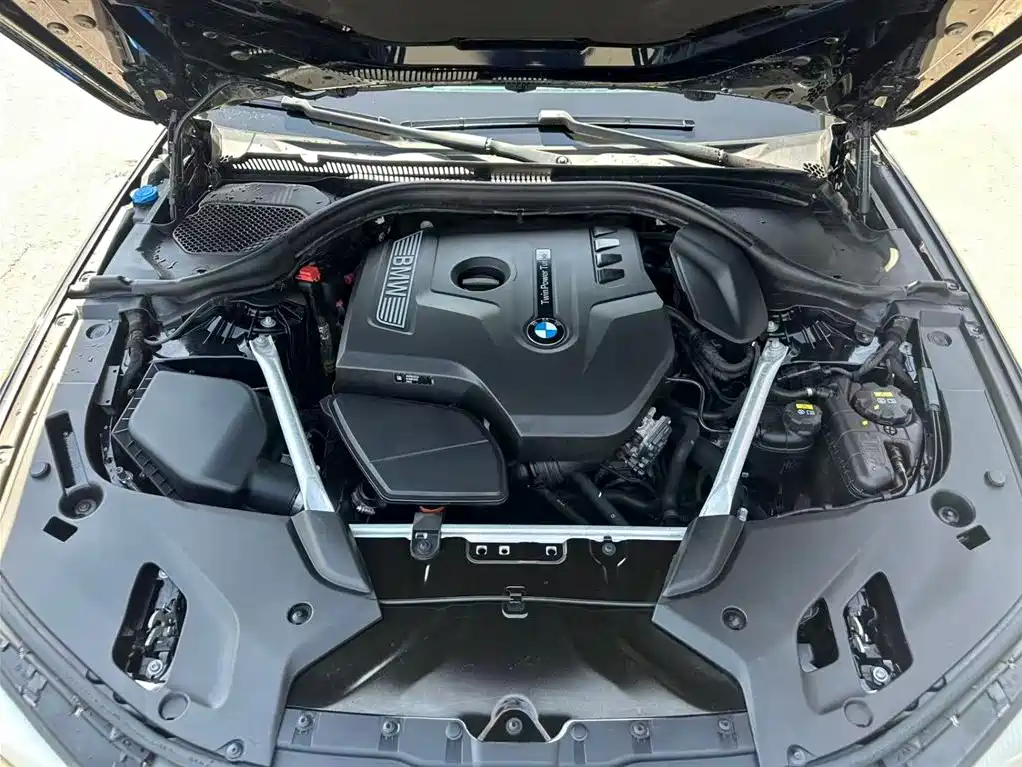BMW 5 Series 2019 530Li Leading M Sport Package фото 16