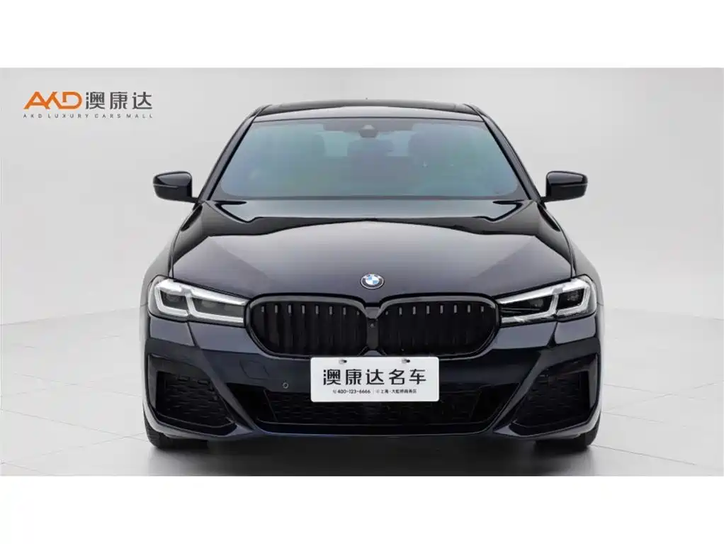 BMW 5 Series (Import) 2021 530i Style Edition M Sport Package фото 2