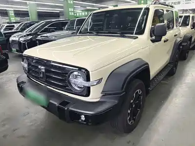 Tank 300
