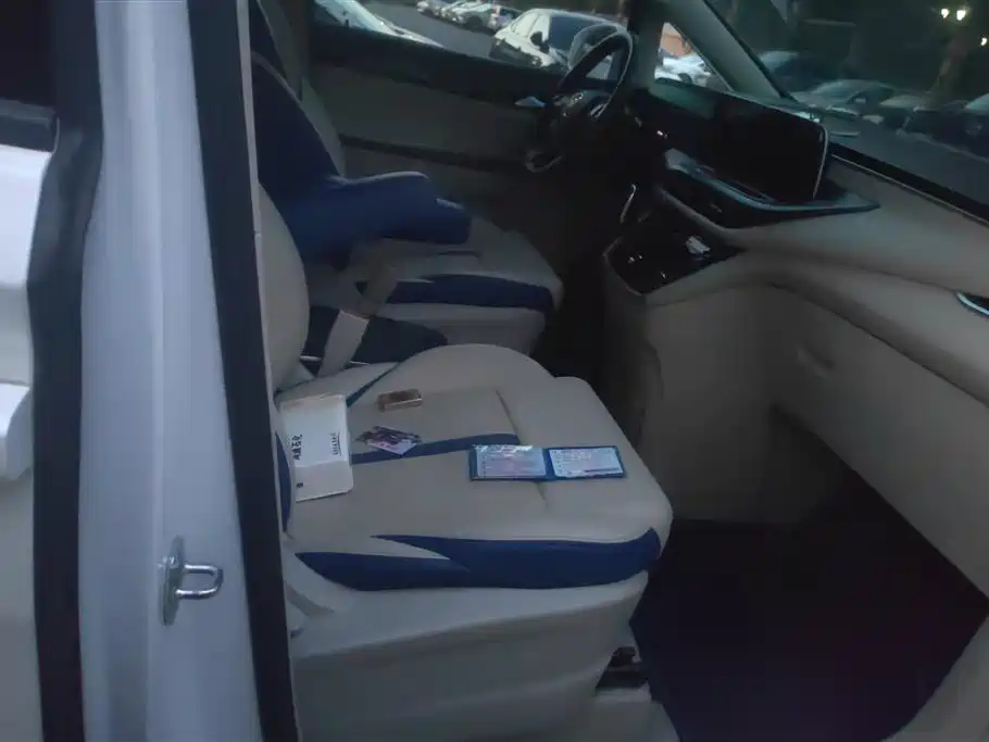 Buick GL8 2023 ES Landmaster Comfort фото 8
