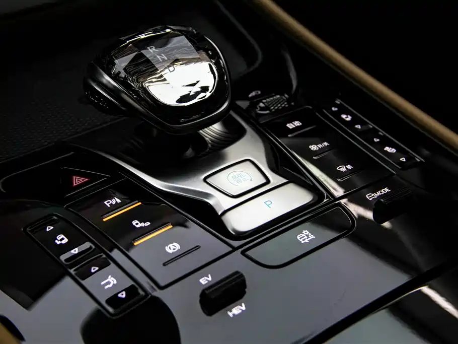 Denza D9 2024 DM-i 1050 Premium фото 21