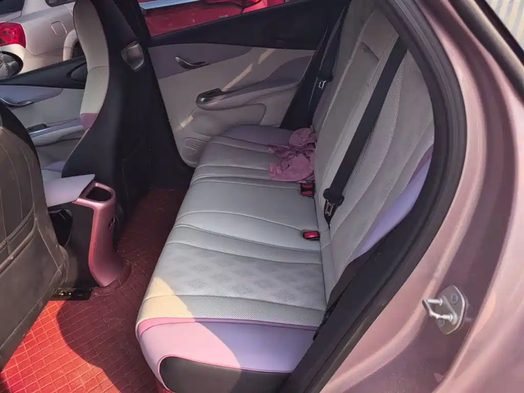 BYD Dolphin 2023 420km Fashion Edition фото 13