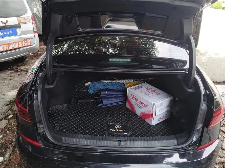 Volkswagen Passat 2022 330TSI Luxury Edition фото 4