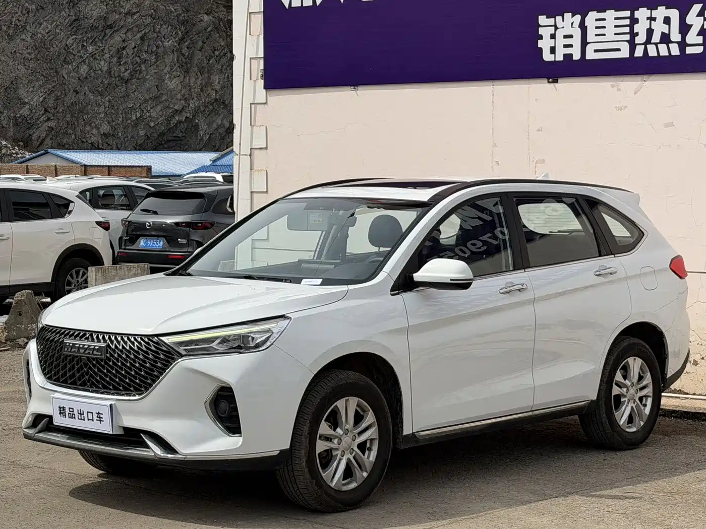 HAVAL M6