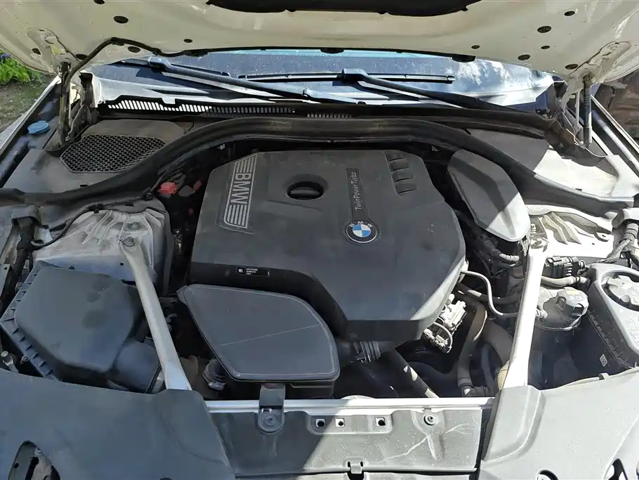 BMW 5 Series 2019 525Li Luxury Package фото 10