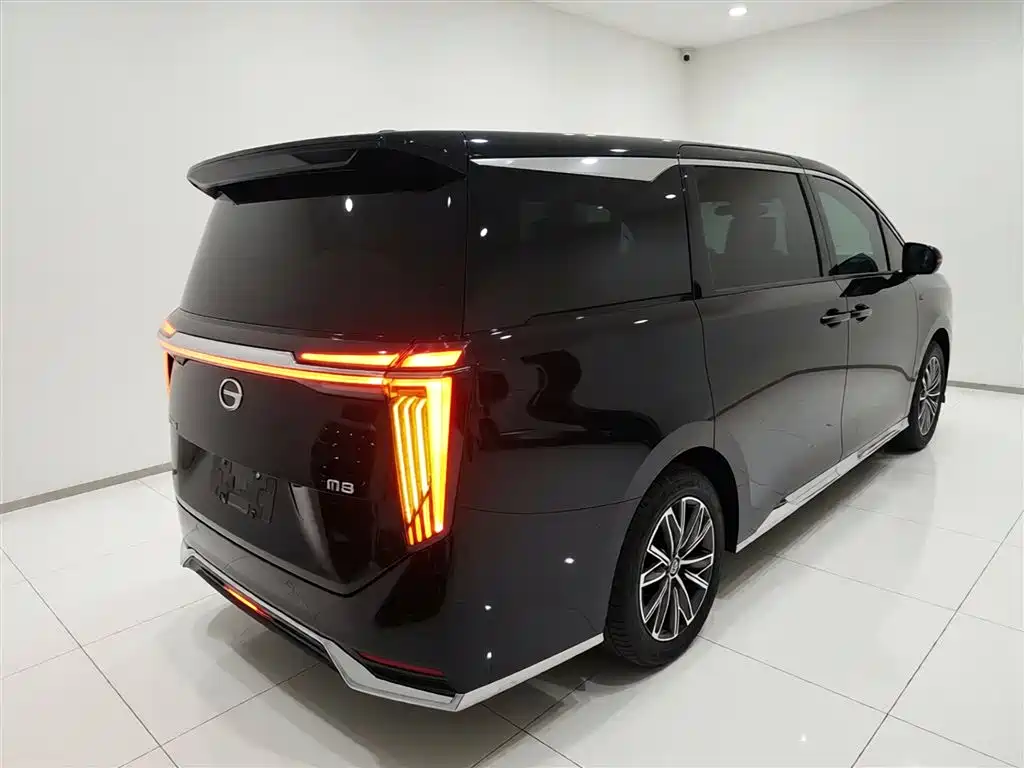 GAC Trumpchi Trumpchi M8 2024 Master Series 400T Premium Edition фото 7