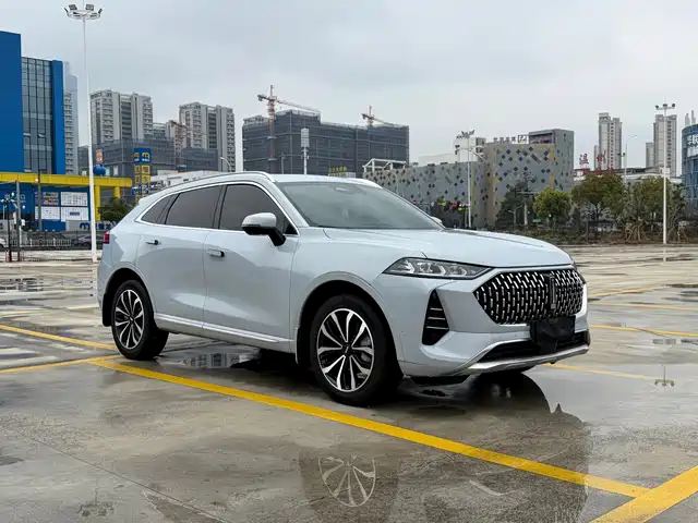 WEI PAI WEI BRAND MOCHA