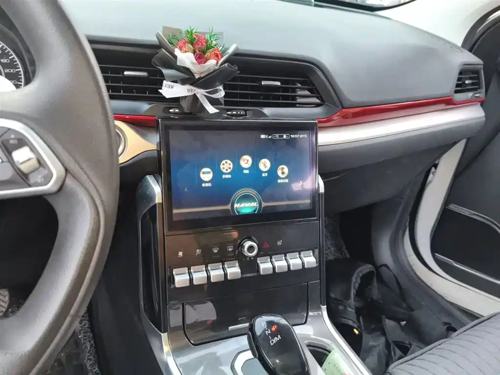 Haval H4 2019 1.5GDIT DCT Elite Smart Connection China VI фото 10