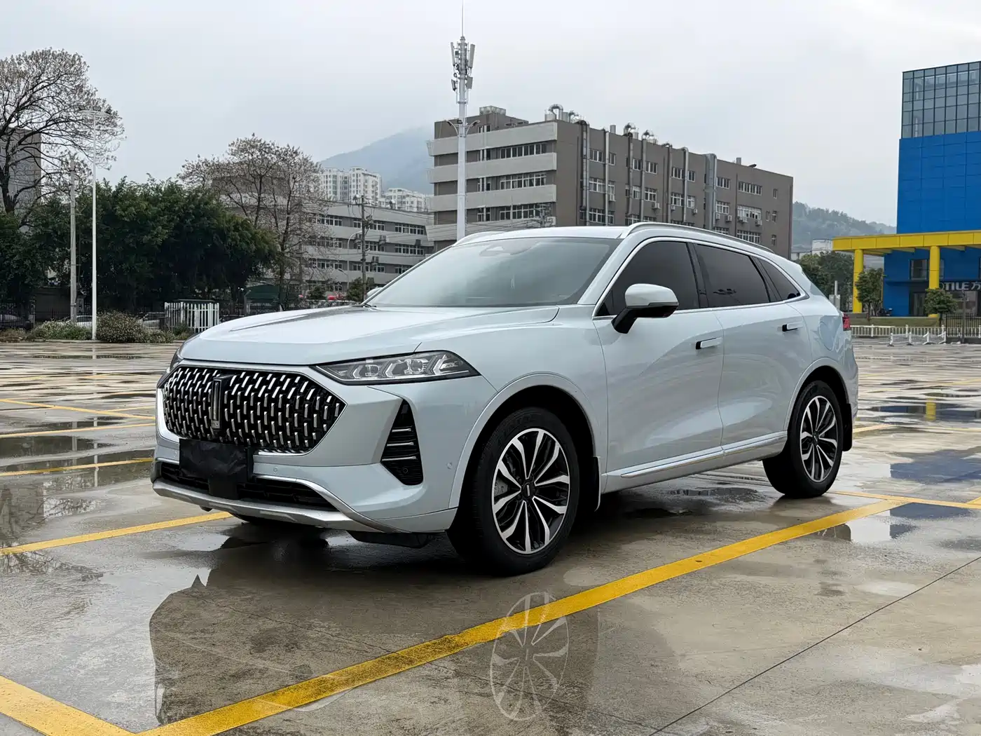 WEI PAI WEI BRAND MOCHA