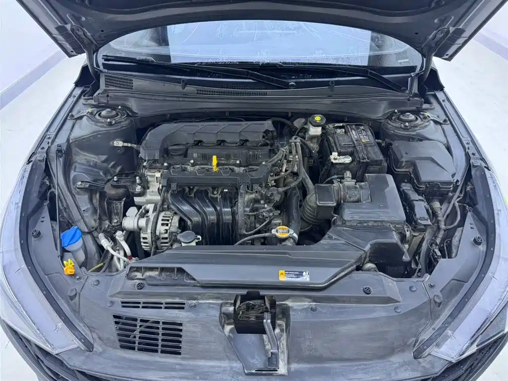 Hyundai Elantra 2021 1.5L CVT LUX Premium Edition фото 15
