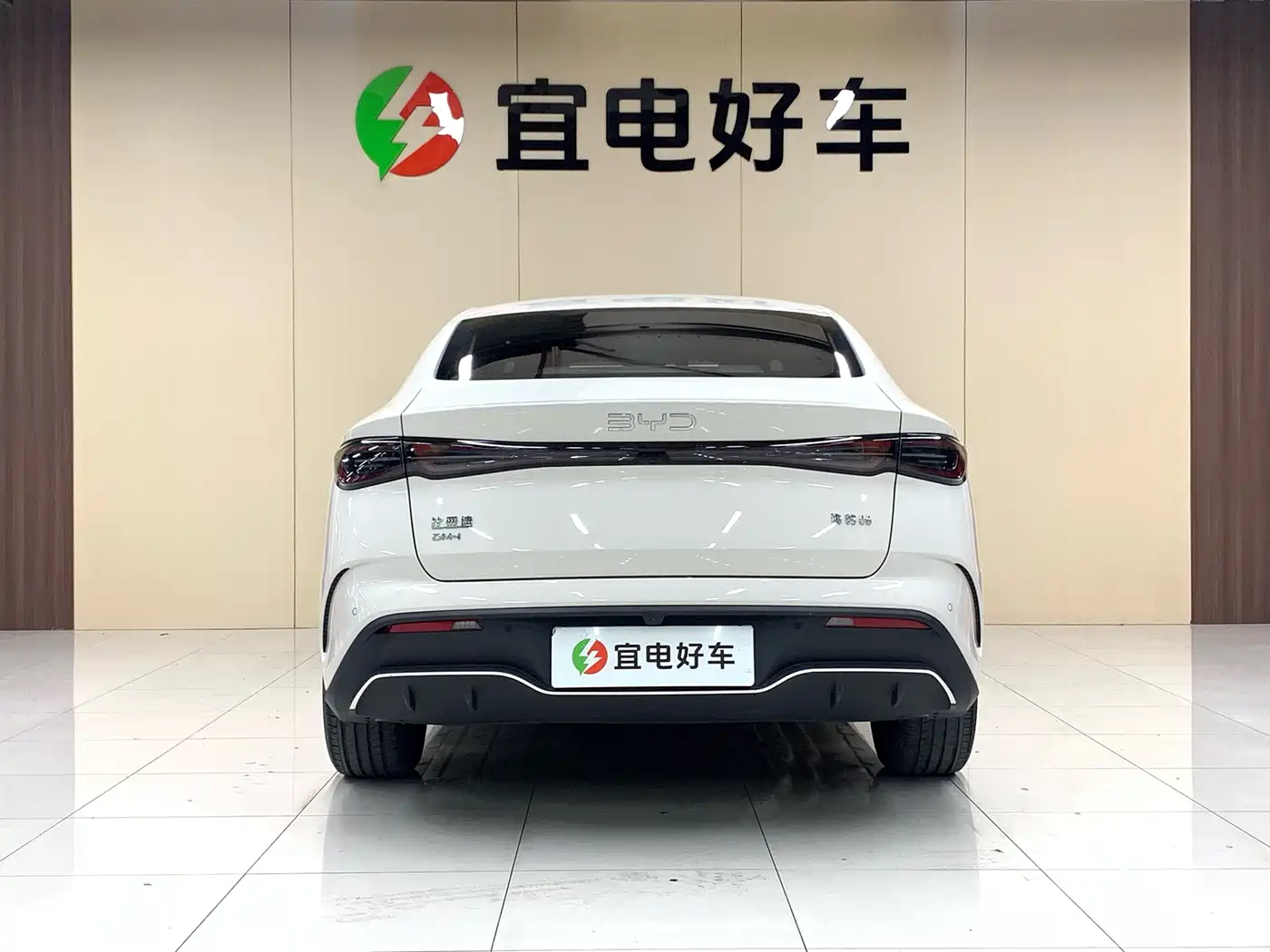 BYD Seal 06 New Energy 2024 DM-i 80KM Prestige фото 6