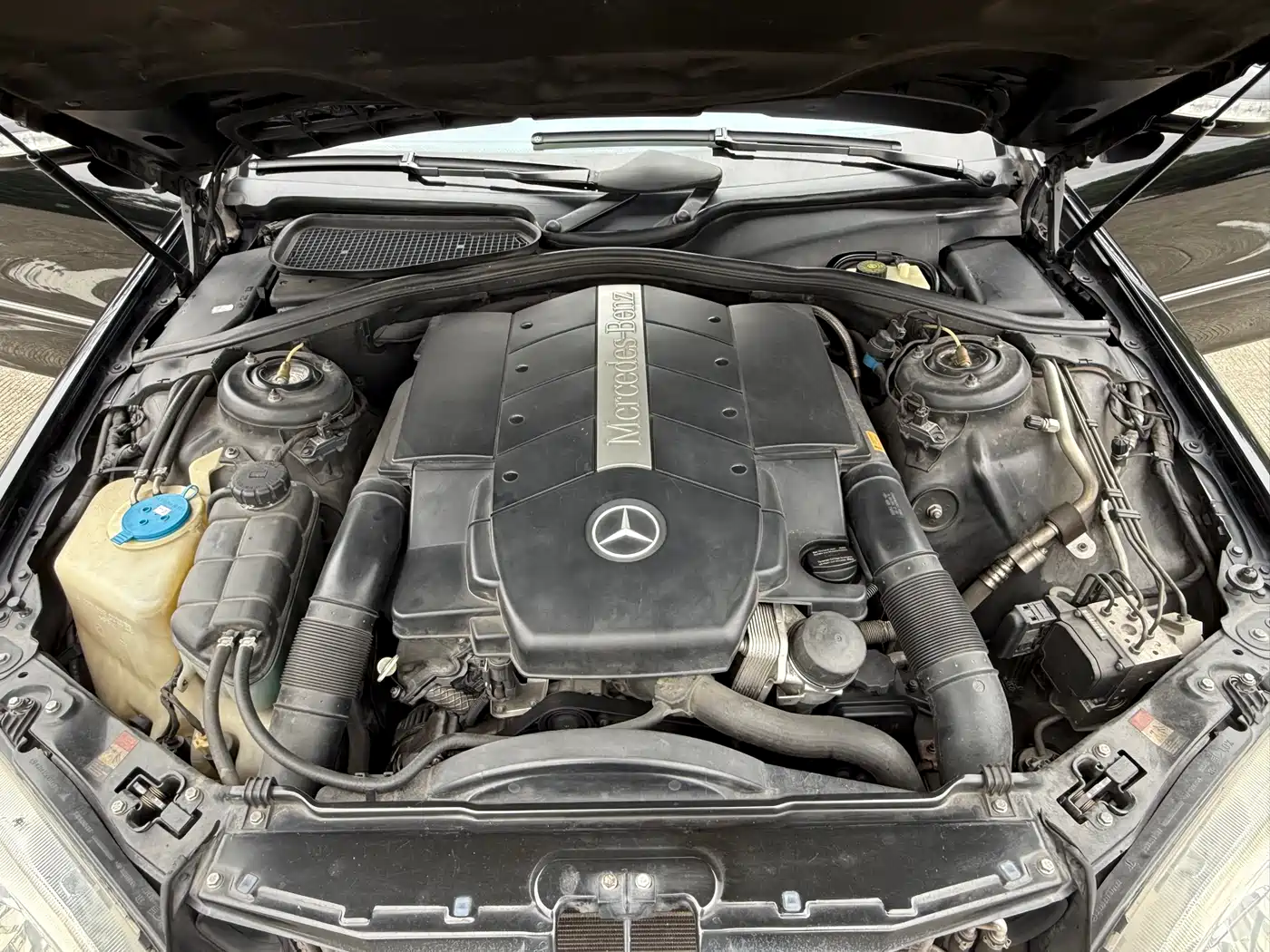 Mercedes-Benz S-Class 2004 S 500 фото 26