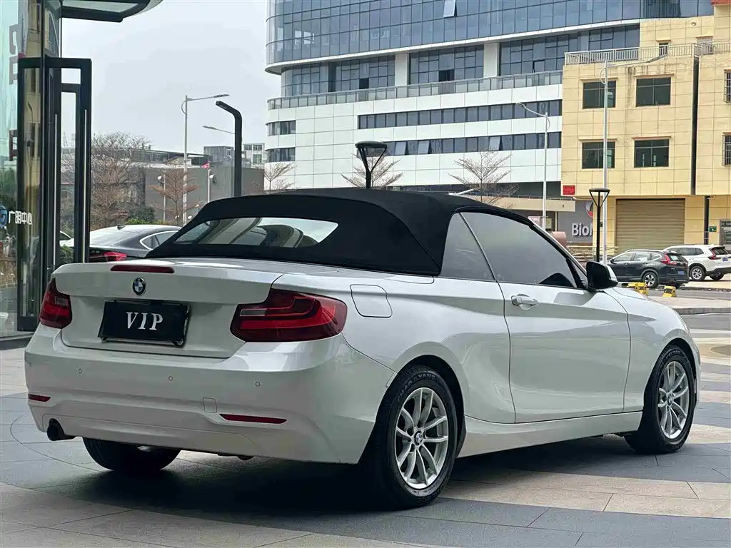 BMW 2 Series (Import) 2015 218i Convertible Coupe фото 9