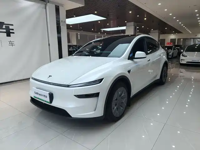 Tesla Model Y L, фото 1