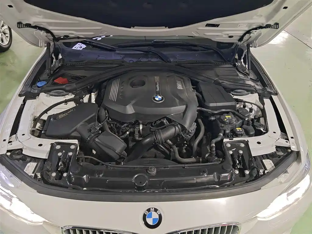 BMW 3 Series 2018 320Li Fashion Style фото 10