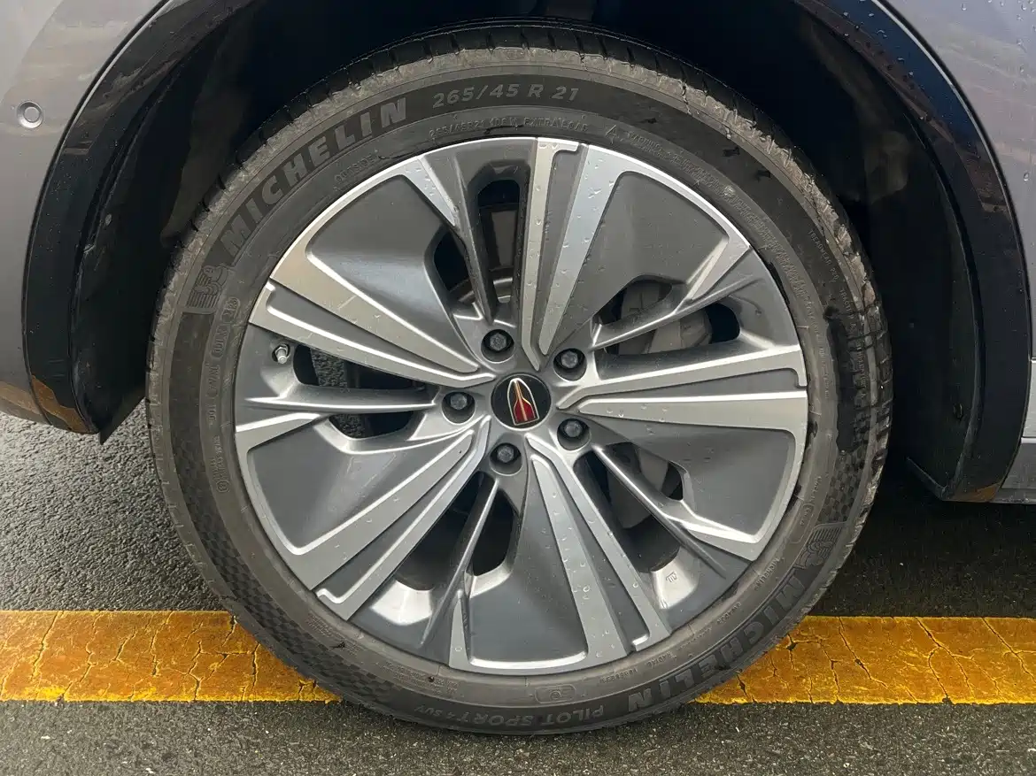 Hongqi E-HS9 2022 690km Qi Xiang Edition (6-seater) фото 7