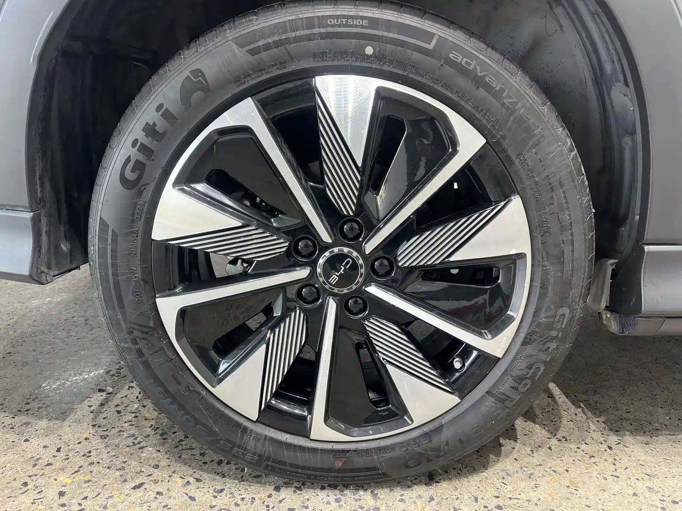 BYD SONGJIANG NEW ENERGY