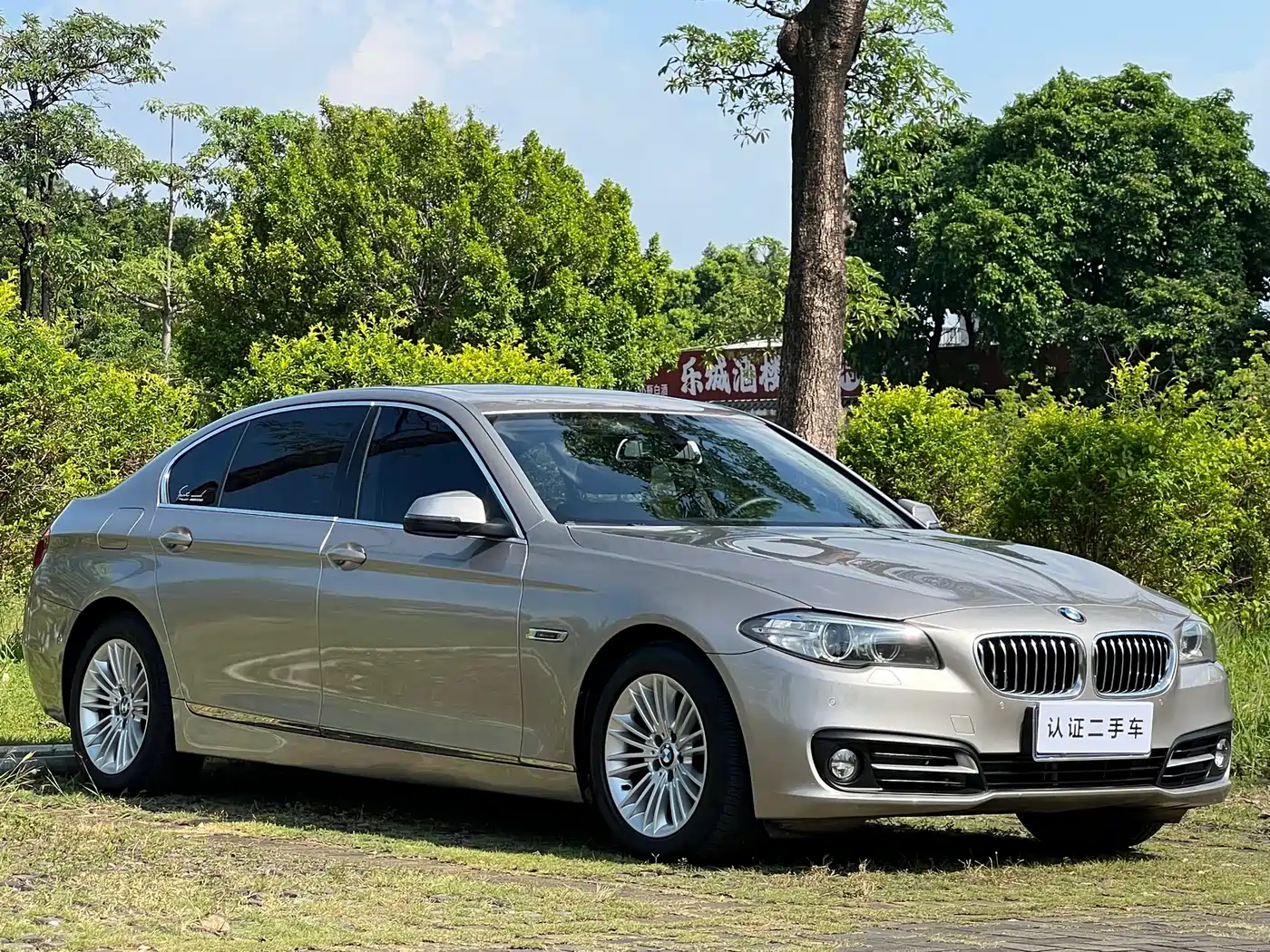 BMW 5 Series 2014 525Li Leading фото 3