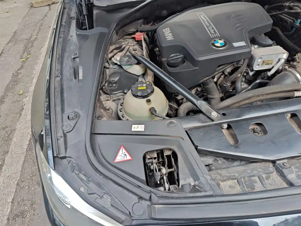 BMW 5 Series (Import) 2014 520i Classic фото 21