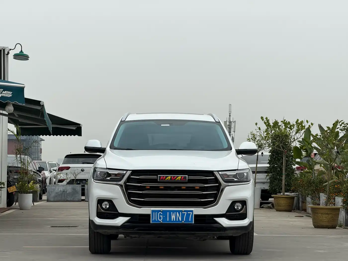 HAVAL H6