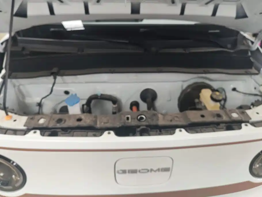 Geely Galaxy Panda 2026 2024 Panda mini 200km Endurance Bear