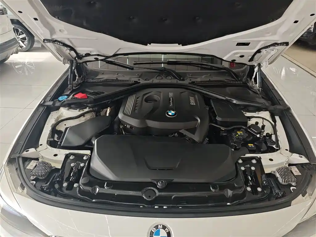 BMW 3 Series GT 2017 320i Fashion фото 20