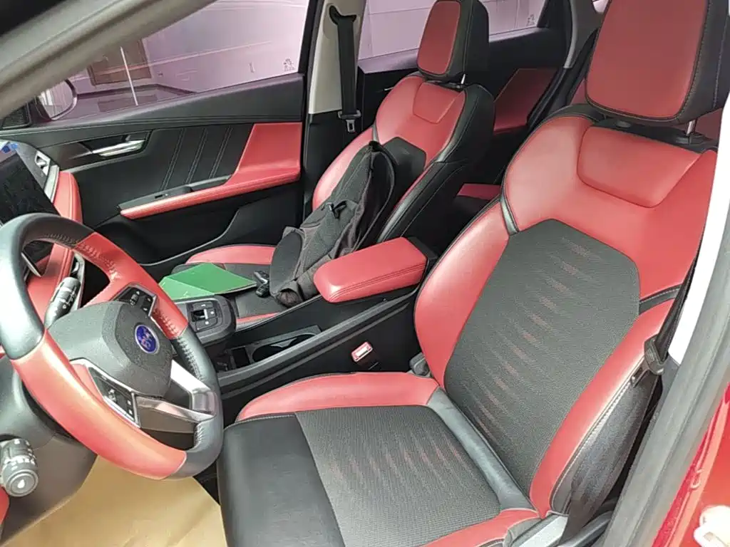 BYD e2 2021 2021 Luxury Edition