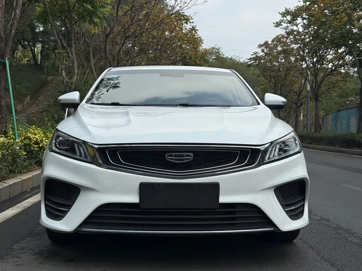 GEELY AUTOMOBILE BINRUI